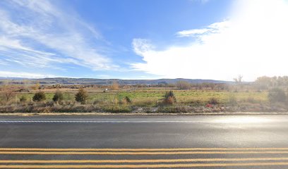 445 US-20